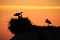 /album/fotogaleria-caceres-nada-mas-y-nada-menos/img-6073133368569-jpeg/